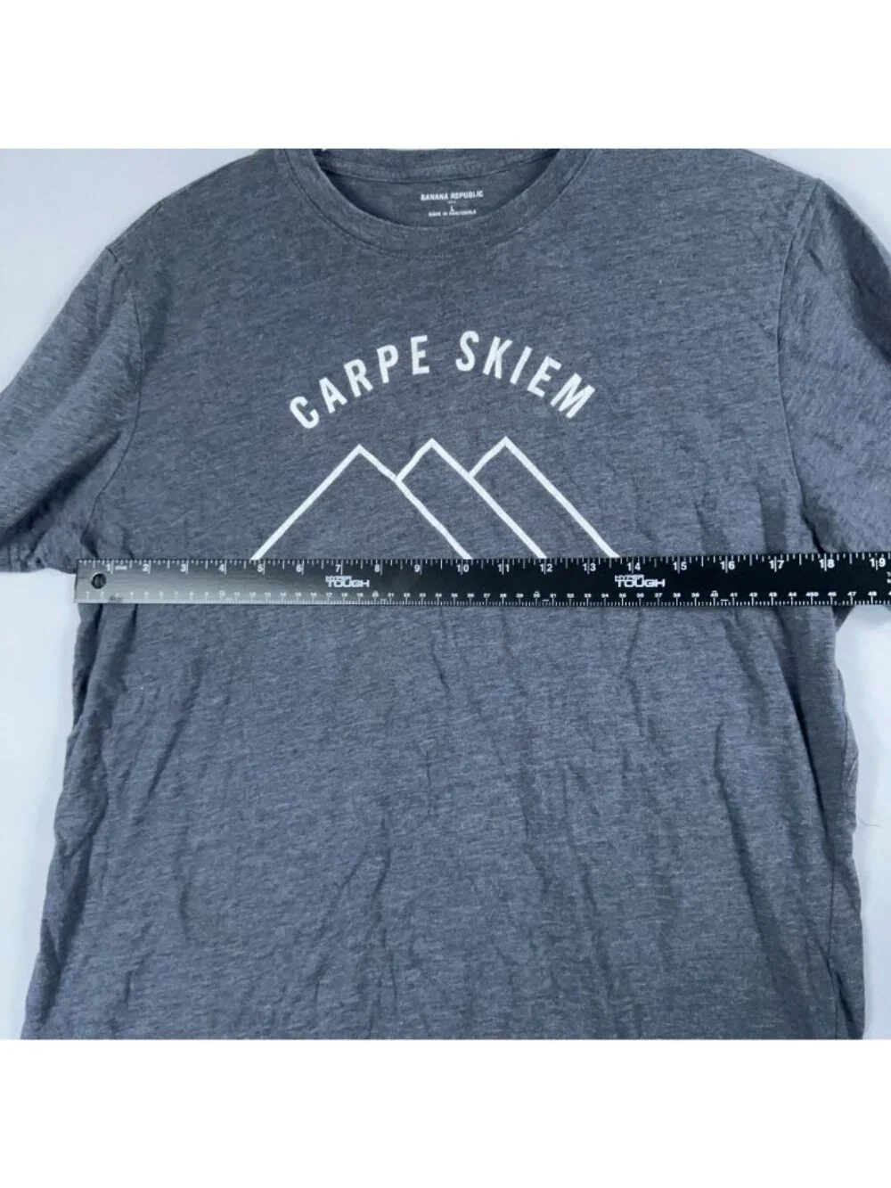 Banana Republic T-Shirt Mens Size Large Gray Carpe Skiem Graphic Crew neck